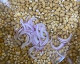 A picture of step 2 of Corn and beans palm oil rice.