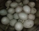 五香鹹蛋黃的食譜步驟2照片