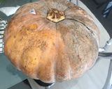 Foto langkah ke 1 dari resep Puding Labu/Pumpkin.