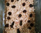 Foto del paso 2 de la receta: Pudín rápido vegano de avena, mermelada y pasas microondas 😋😌