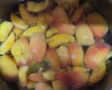 A picture of step 1 of Peach juice.