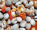 Foto langkah ke 3 dari resep Kerang Saos Padang.