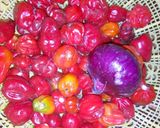A picture of step 2 of Wainar fulawa.