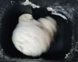 Foto del paso 1 de la receta: Pan casero en la máquina de hacer pan