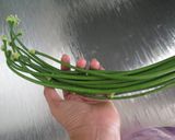 Foto langkah ke 1 dari resep Tumis Kembang Bawang Tauco (ampas kecap).