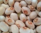 Foto del paso 1 de la receta Judías de la virgen. Tradicionales y veganas