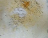 A picture of step 1 of Better naan.