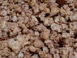 29. Kacang Kribo Asin