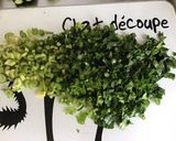 Une image de l'étape 1 de Salade composée aux légumes d été et saucisses cocktail.