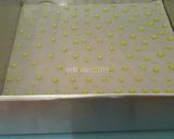 Foto langkah ke 12 dari resep Green Tea Roll Cake Mini (Ekonomis - Chocolatos Green Tea).