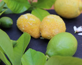 Foto del paso 6 de la receta: Dulces limoncitos