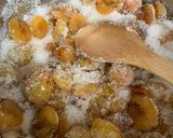 Une image de l'étape 1 de ☆Confiture de Mirabelles☆.
