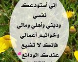 صورة لخطوة 5 من وصفة كفته مصريه 🌱