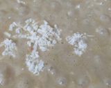 शाही मलाई पनीर (shahi malai paneer recipe in marathi) रेसिपी स्टेप 6 फोटो 
