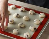 A picture of step 7 of Coconut Raisin Cookies.