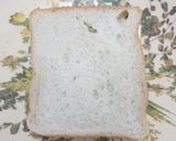 ચીઝી વેજ સેન્ડવીચ (Cheesy Veg Sandwich recipe in Gujarati) રેસીપી સ્ટેપ1ફોટો