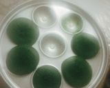 A picture of step 9 of Coloured Idli Cake Sandwich.