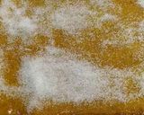 Foto del paso 10 de la receta: MASSINI/postre quemado cremoso