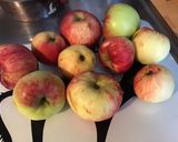 Une image de l'étape 1 de Compote de pommes,quetsches et prune d ente (fruits du jardin).