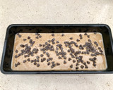 Foto del paso 5 de la receta: Bizcocho integral con pepitas de cacao