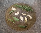 Foto del passaggio 2 della ricetta Zucca al vino bianco con salvia e rosmarino
