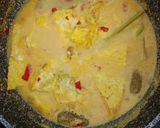 Foto langkah ke 3 dari resep Telur Dadar Masak Santan.