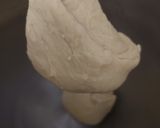 Foto langkah ke 3 dari resep Fancy Japanese Milk Bread.