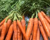 Une image de l'étape 5 de 🪹🍁Velouté carotte 🥕 🍊 orange 🍊 cannelle 🪵🍂.