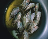 Foto del paso 3 de la receta: Fideuá negra