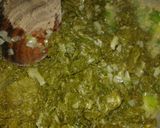Foto del paso 5 de la receta: Pascualina de acelga