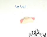 صورة لخطوة 12 من وصفة ها هما شكيلات آخرين ديال اللوز