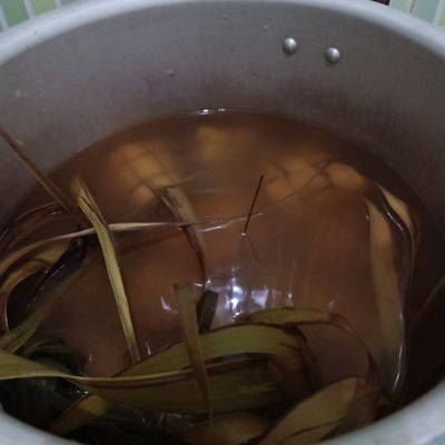 Langkah 7