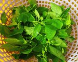 Hình bước làm 1 của món Đầu Cá Thu Nấu Lá É