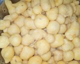 A picture of step 1 of Dahi Boondi Chaat.