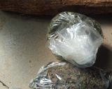 A picture of step 1 of Goat meat banga soup.