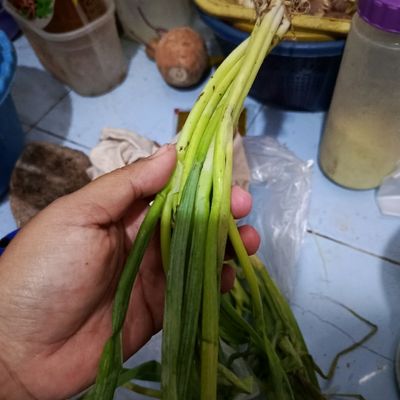 Langkah 4