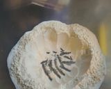 Foto del paso 2 de la receta: Pan de leche