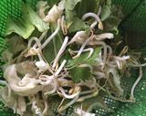 Foto langkah ke 1 dari resep Sohun Jagung Goreng.