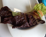 Foto del paso 3 de la receta: Rollitos de salmón ahumado rellenos muy fáciles