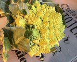 Une image de l'étape 1 de Gratin de légumes multicolores au lard, emmental et persil.