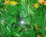 Foto langkah ke 3 dari resep Sayur bayam bening.