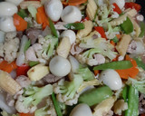A picture of step 10 of Gerd friendly Chopsuey.