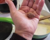 Foto del paso 3 de la receta: Salsa Alfredo