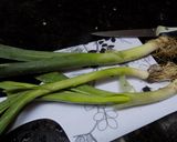 Foto del paso 3 de la receta: Fideos largos al disco