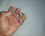 Foto del paso 10 de la receta: Berlinesas