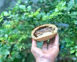 Hình bước làm 18 của món Taiwan Pepper Bun _ Bánh Bao Nướng Tiêu Đen Nhân Thịt