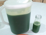 Agua de charco