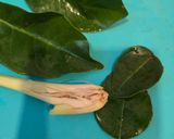 Foto langkah ke 6 dari resep Nasi Bakar Ayam Suwir.