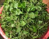 Hình bước làm 1 của món Nộm rau má