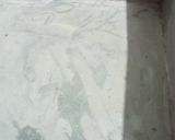 Foto langkah ke 4 dari resep Sengkulun Ubi Ungu.